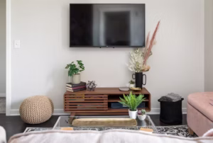 tvlivingroom